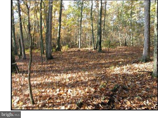 1st image of Tatum Rd