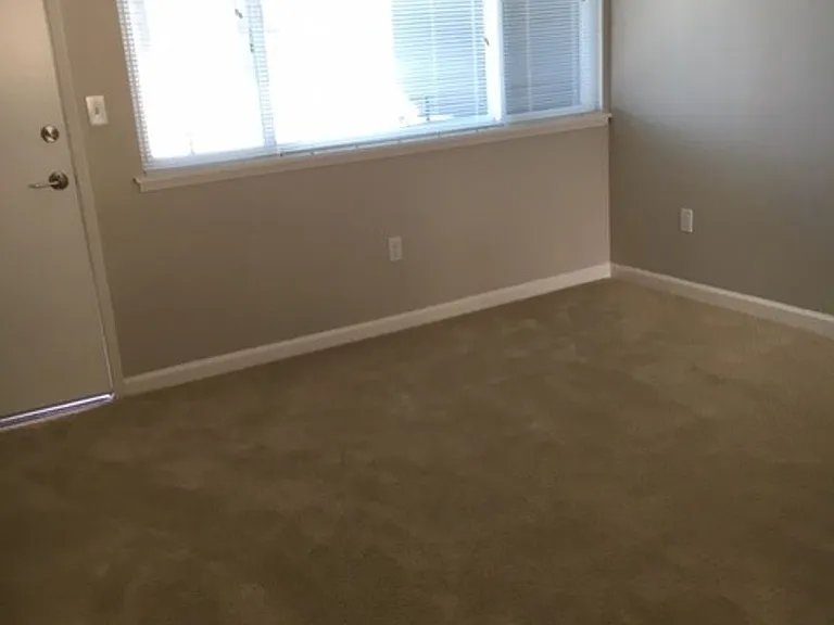 1216 Liberty St #2 — Photo 3