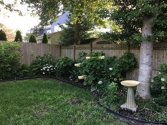 Garden in back yard