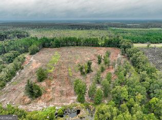 2 Lanes Bridge Rd, Odum, GA 31555