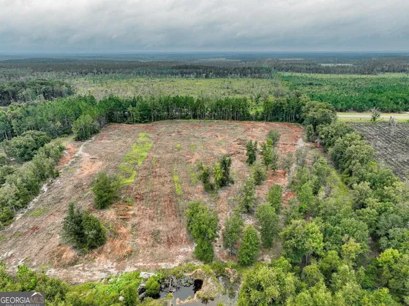 2 Lanes Bridge Rd, Odum, GA 31555