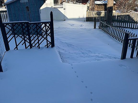 Back Yard Deck and Shed