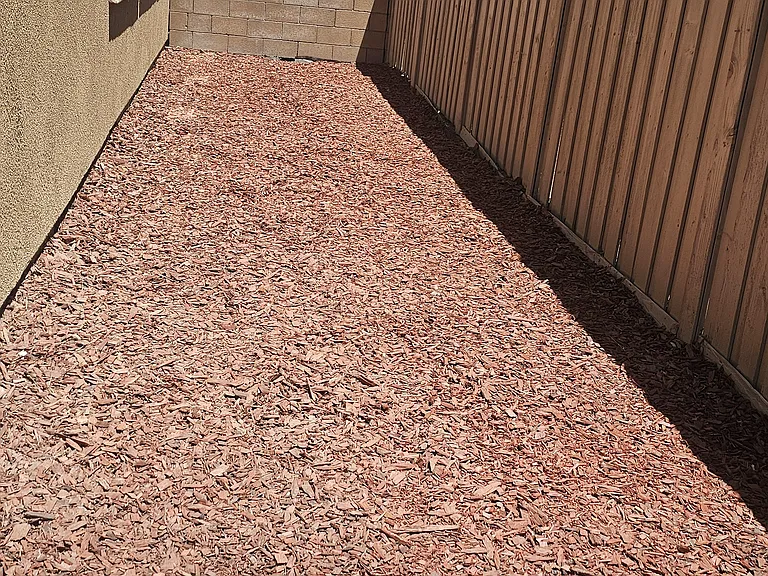 Left side back yard.