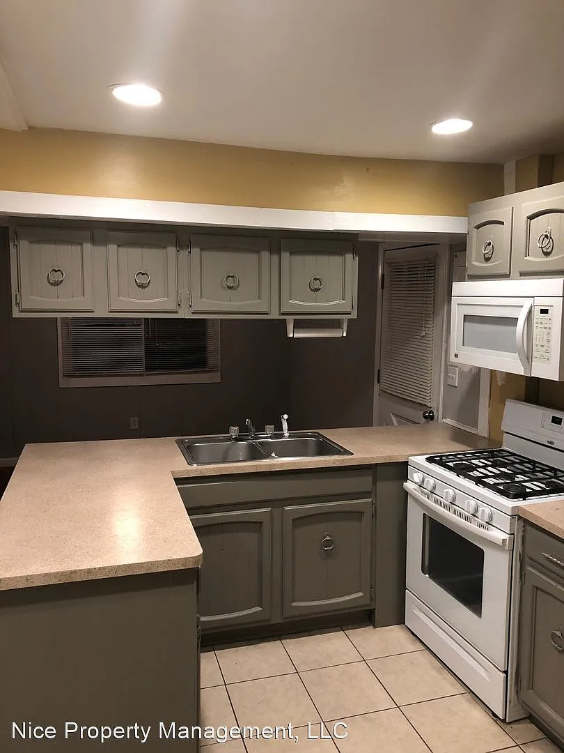 223 E Windemere Ave photo 1