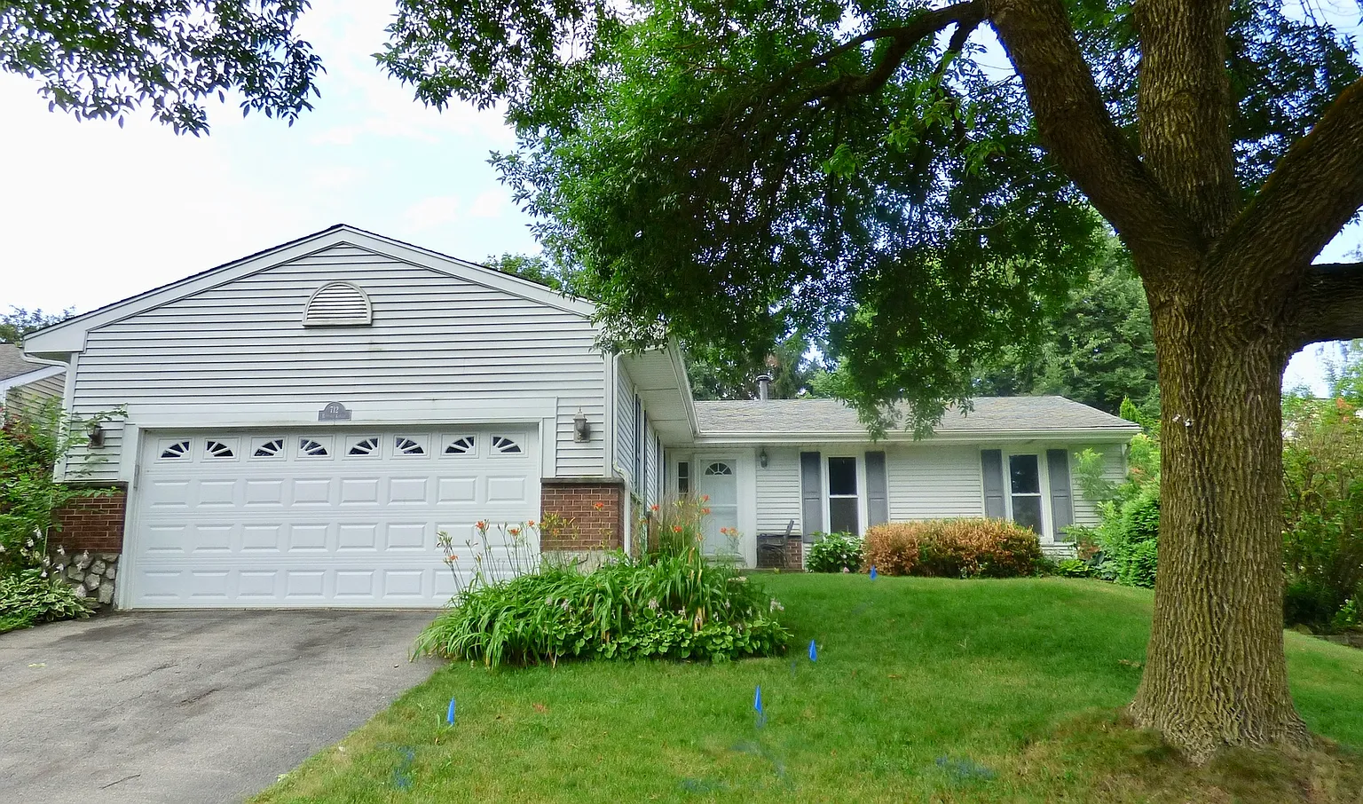 712 Buffalo Cir photo 1