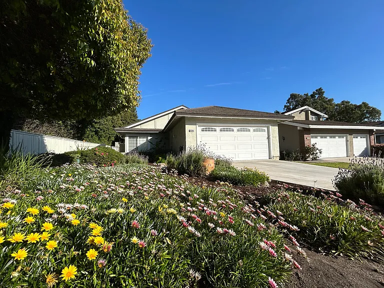 Another view from front yard