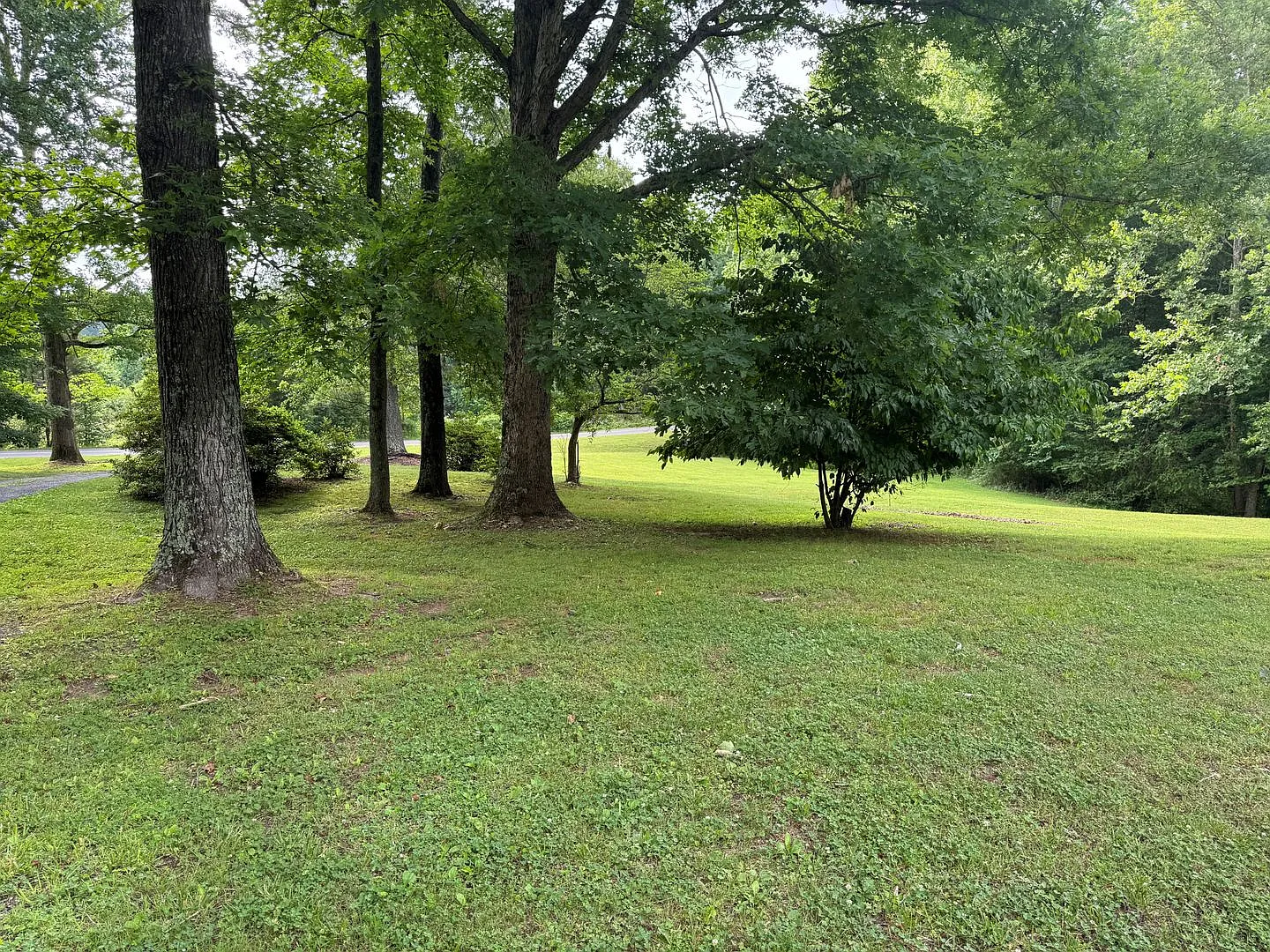 Available to Show — Photo 2