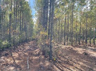 0 Monticello Church Rd NE, Ludowici, GA 31316