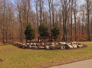 11320 Turkey Ridge Ln, Lowell, MI 49331