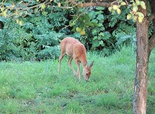 104 S Mountain Rdg, Cresson, TX 76035