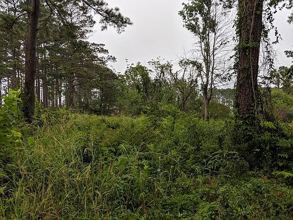 2nd image of 249 Nelson Neck Road