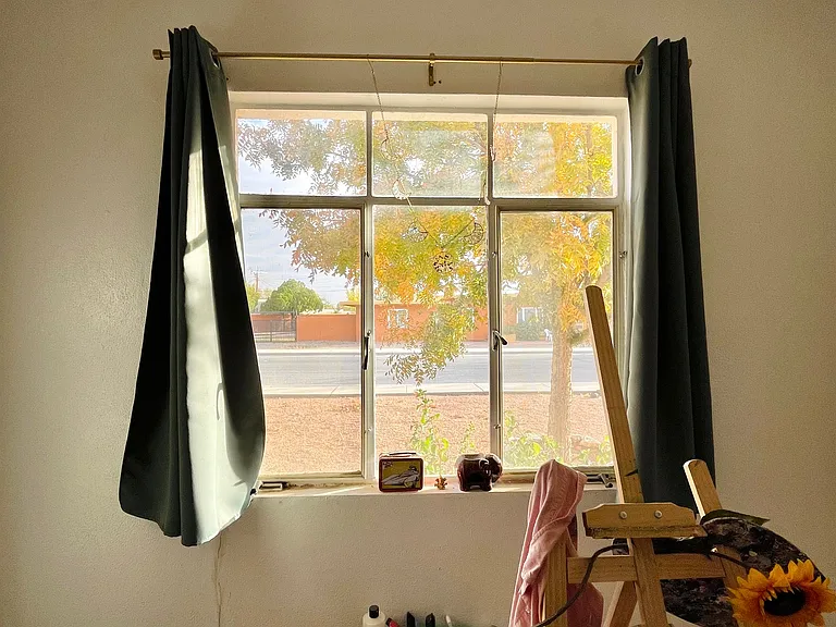 view from the dining area (which I use as an art area)