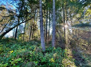 10113 Selma Cir, Anderson Island, WA 98303