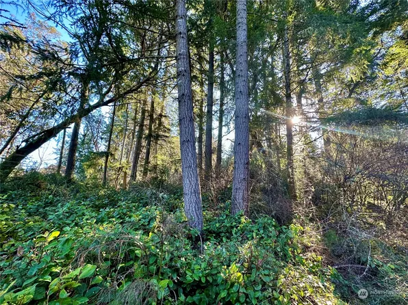 10113 Selma Circle, Anderson Island, WA 98303