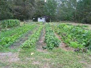 2nd image of 1302 Zittrouer Rd