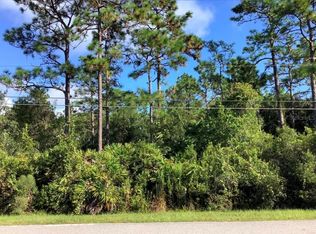 Starry St LOT 102, Orlando, FL 32833