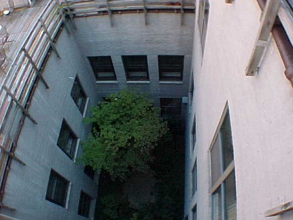 5th image of 297 W Clay Ave APT 211