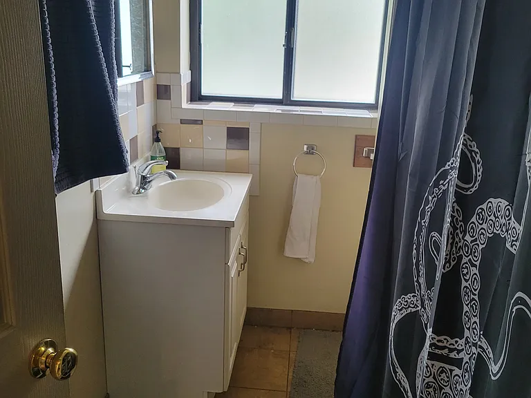 1207 Carpenter St #B — Photo 1