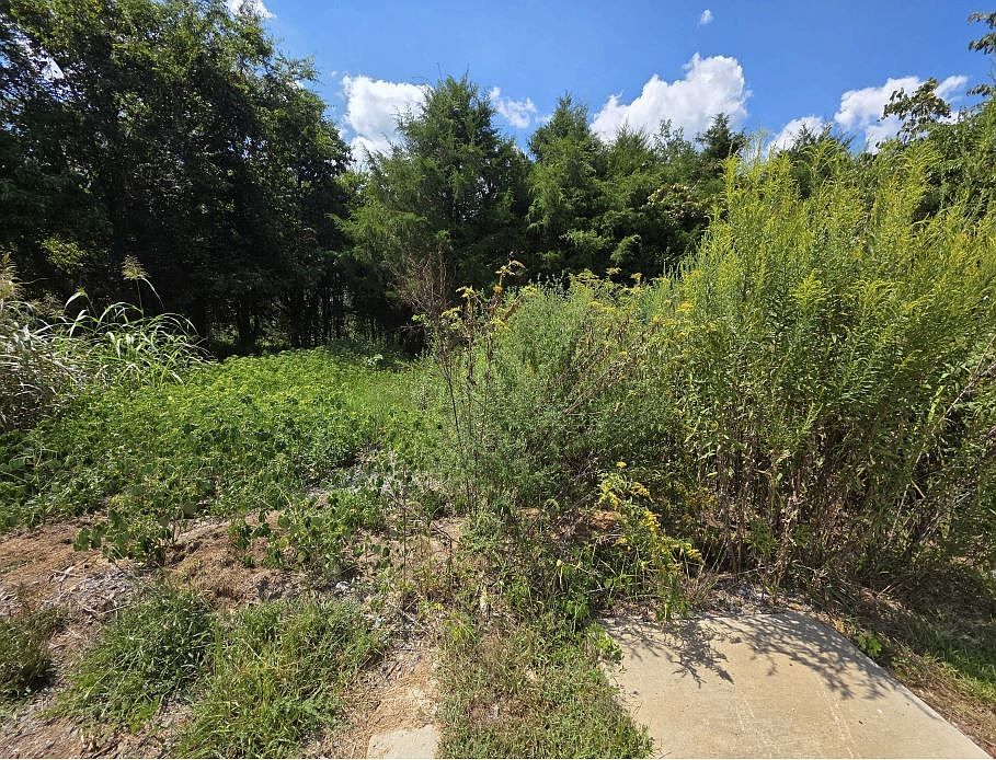 2nd image of 0 Darrell Dr