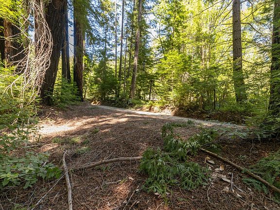 5th image of 17 Branson Ranch Rd