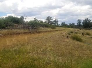 221 Cottonwood Dr #252, Cotopaxi, CO