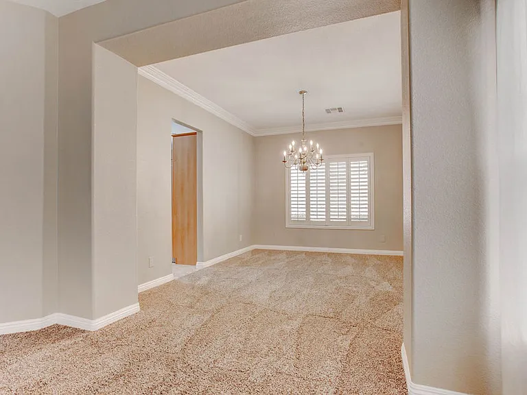 809 Royal Birch Ln — Photo 5
