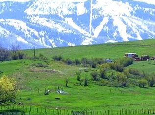 29095 Elk View Dr, Steamboat Springs, CO 80487