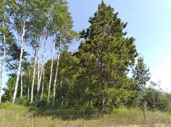 0 SW 65th Ave, Motley, MN 56466