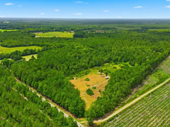 TBD Williams Hill Rd., Hemingway, SC 29554