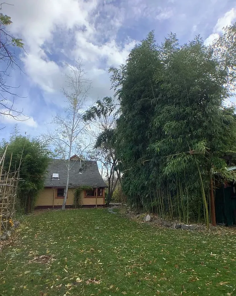 4 bed, 1560 sqft, $3,050 — Photo 3