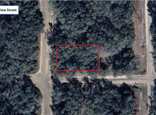 Tbd Annette Avenue, Interlachen, FL 32148
