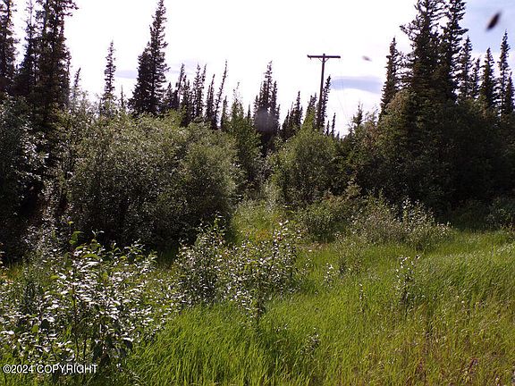 2nd image of Mile 106.5 Richardson Highway Hwy