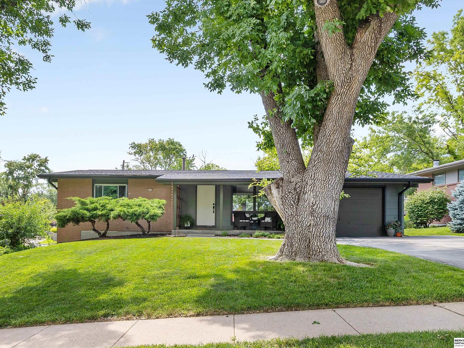 SASA✴︎ PRO-ZXI 8