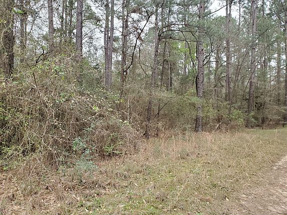 2nd image of 0 Big Brave Cir Lot 19