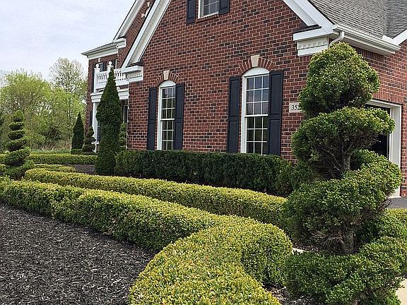 5th image of 3528 Rolling Hills Ct