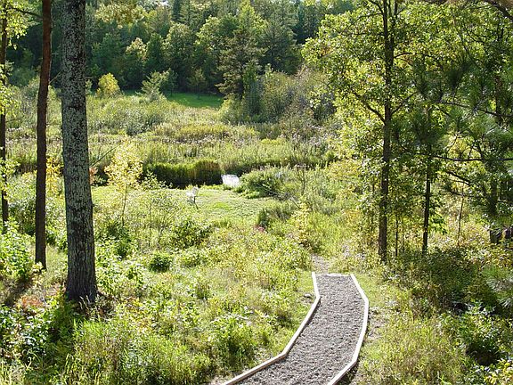 15 acres on Stony Brook Creek