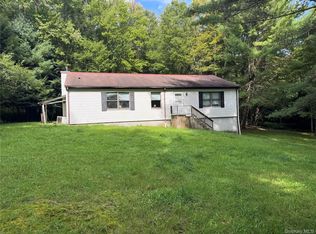 155 Blanchard Rd, Swan Lake, NY 12783