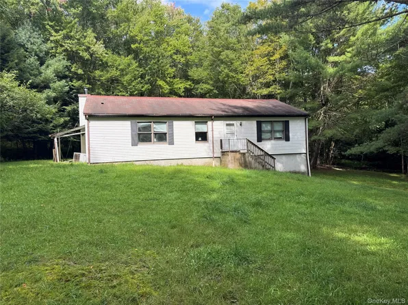 155 Blanchard Road, Swan Lake, NY 12783