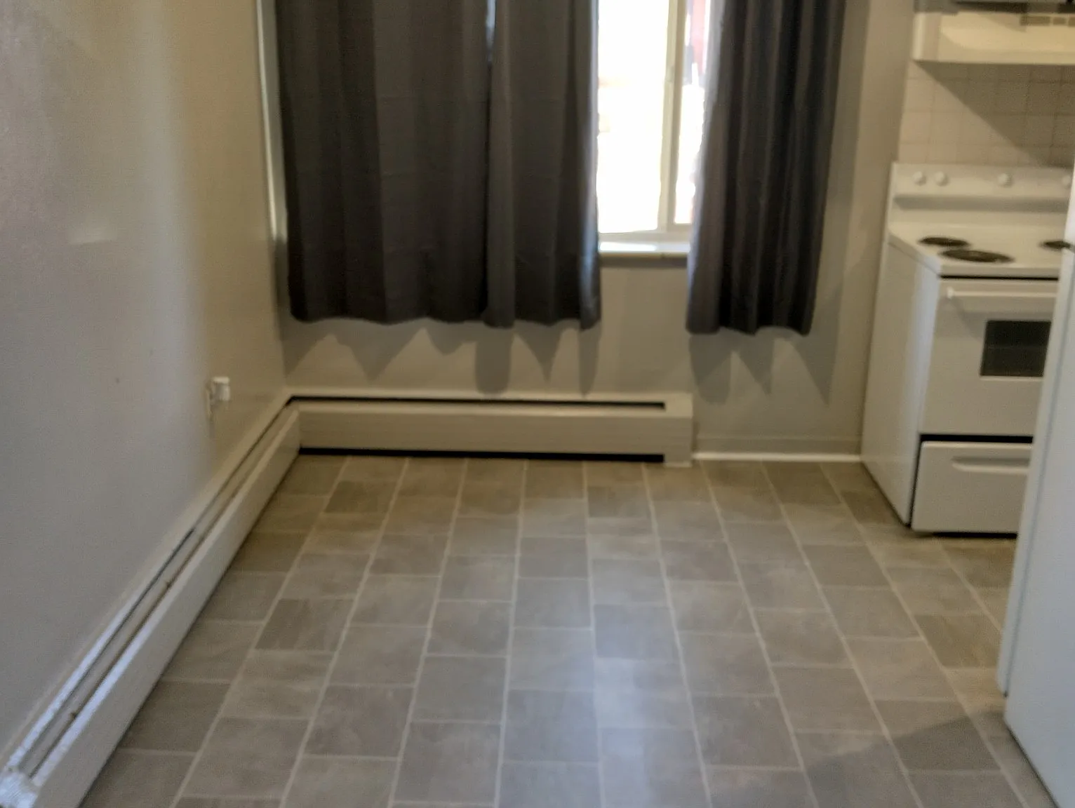 1 bed, 700 sqft, $1,250 — Photo 3