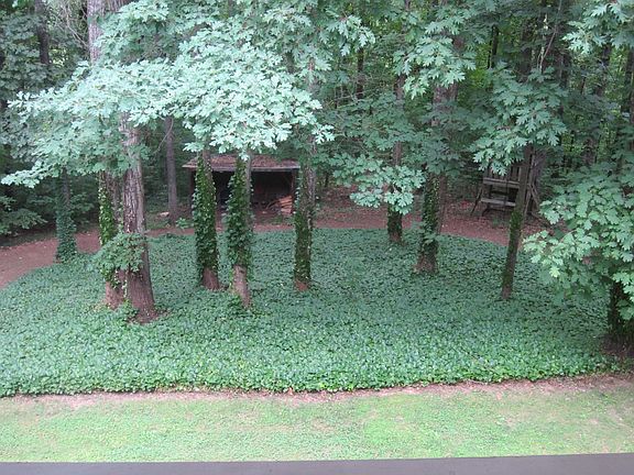 2nd image of 1108 Havenwood Dr