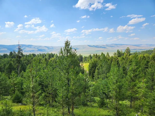 51 Horned Owl Ln, Philipsburg, MT 59858