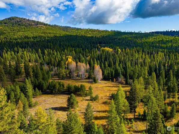 0 Sheridan Road, Republic, WA 99166