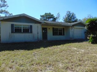 17242 Carlesimo Ave, Spring Hill, FL 34610