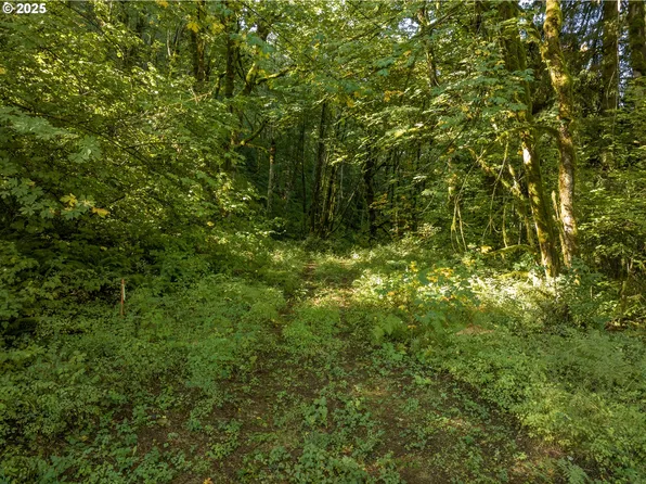 602 Wildlife Rd, Washougal, WA 98671