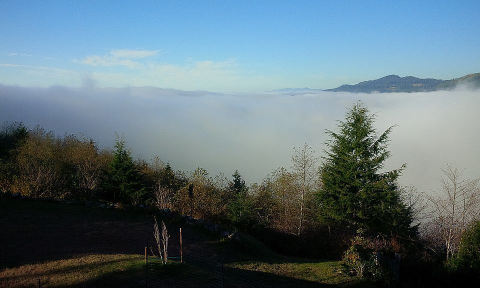 2nd image of 27211 Eighty Acre Rd