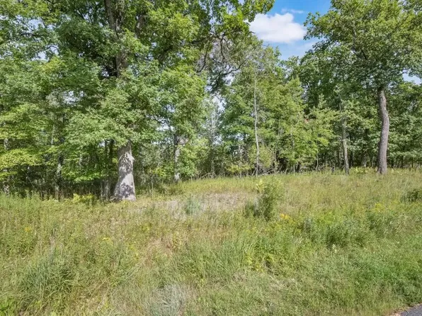 19193 Meadowridge Trl N, Marine On Saint Croix, MN 55047