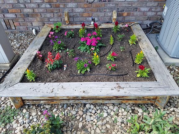 Garden box in entry