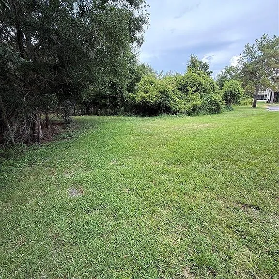 30316 Elderwood Dr — Photo 18