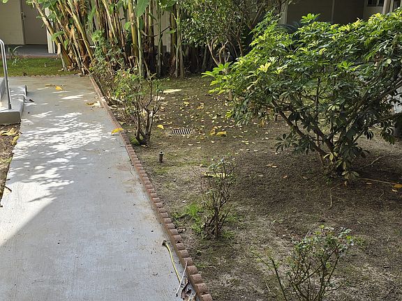 Ground level