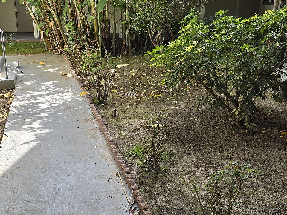 Ground level